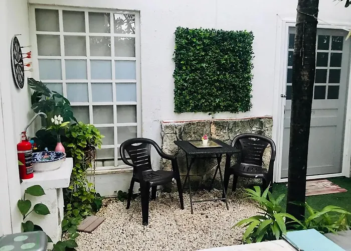 Apartment Cozy Espacious Welcoming Pet Friendly *