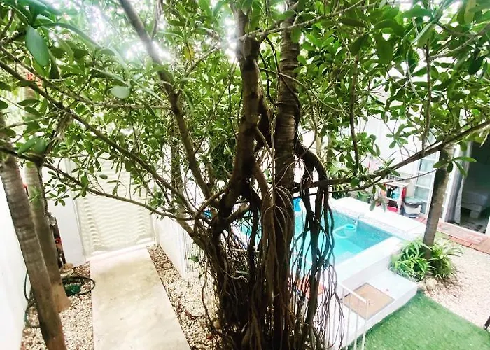 Apartment Cozy Espacious Welcoming Pet Friendly Playa del Carmen